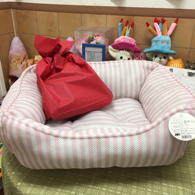 ちゃこちゃん💕のお誕生日🎂にたくさんのご来店やプレゼント📦をありがとうございました😄